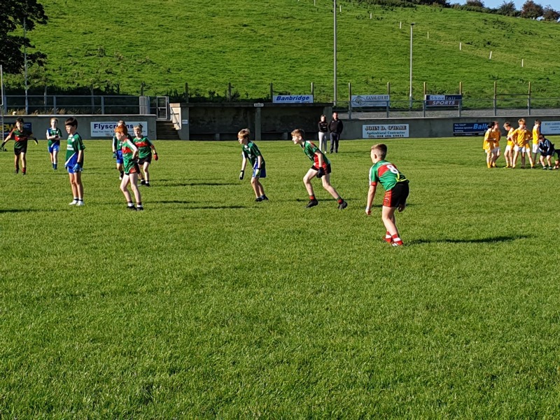 McGreevy / Farrell Primary InterSchools Tournament 2019